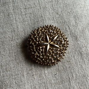 Vintage brooch sea sand dollar in gold tone metal